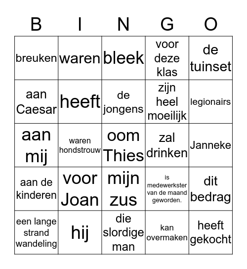 Zinsdelen en woordsoorten - grammatica Bingo Card