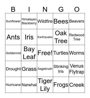 BINGO: the environmental game Bingo Card