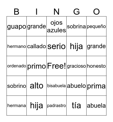 Family-Adjective Bingo Card