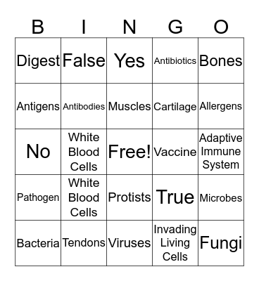 IMMUNE SYSTEM  Bingo Card