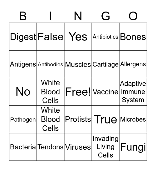 IMMUNE SYSTEM  Bingo Card
