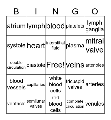 Circulatory System, & Circulation Bingo Card