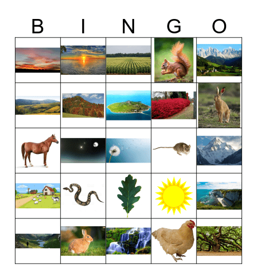 Deutsch 3 - Natur 4A Bingo Card