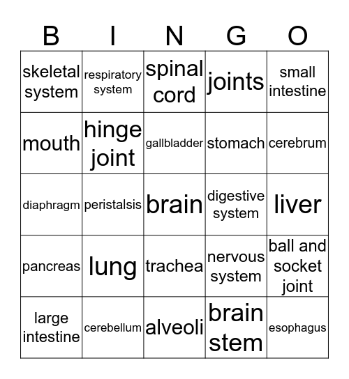 Human Body Vocab Bingo Card