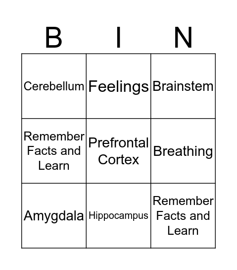 Brain Parts Bingo Card