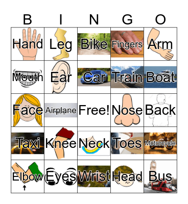 First Grade - Body Parts and Transportation Bingo Card