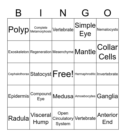 Test Review Week 26 Bingo Card