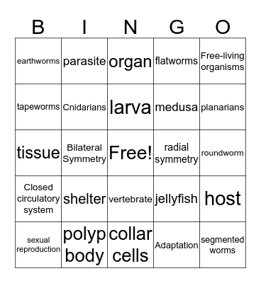 Sponges, Cnidarians, Worms Bingo Card