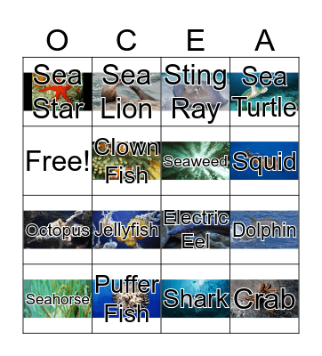 Ocean Bingo Card