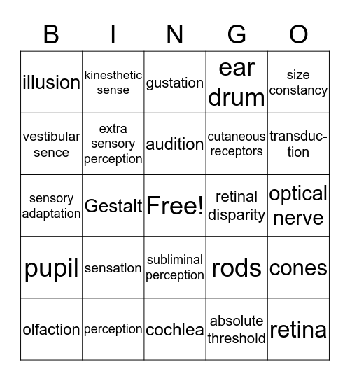 Sensation & Perception  Bingo Card