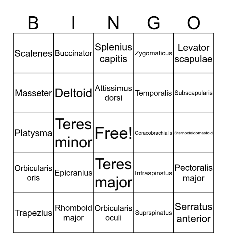Muscle bingo Bingo Card
