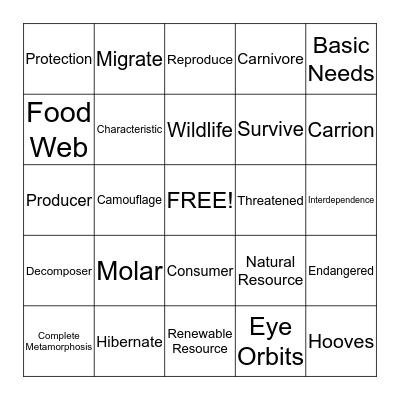 Adaptations Bingo Card