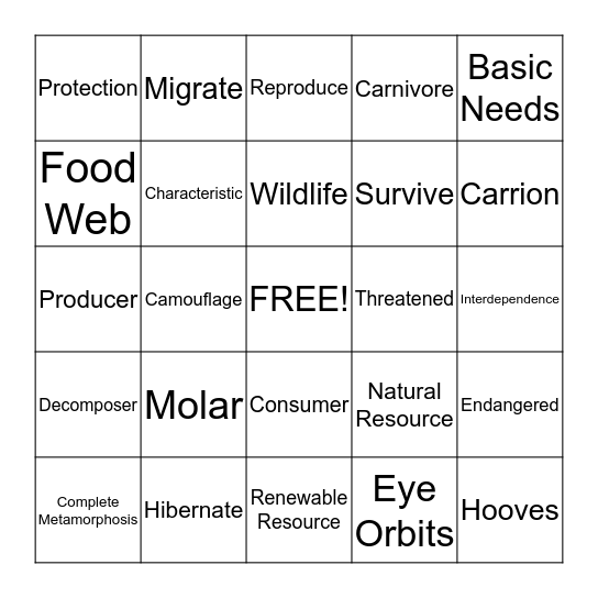 Adaptations Bingo Card