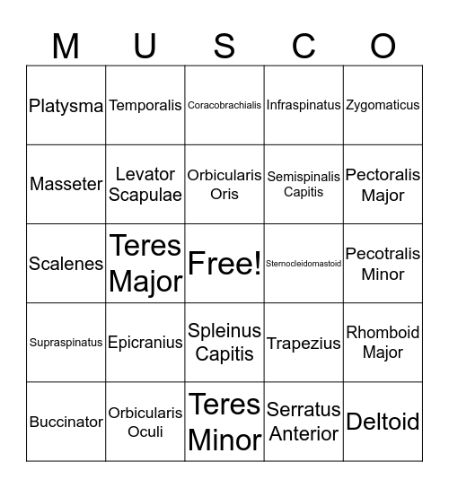 Musco Muscle Card Bingo Card