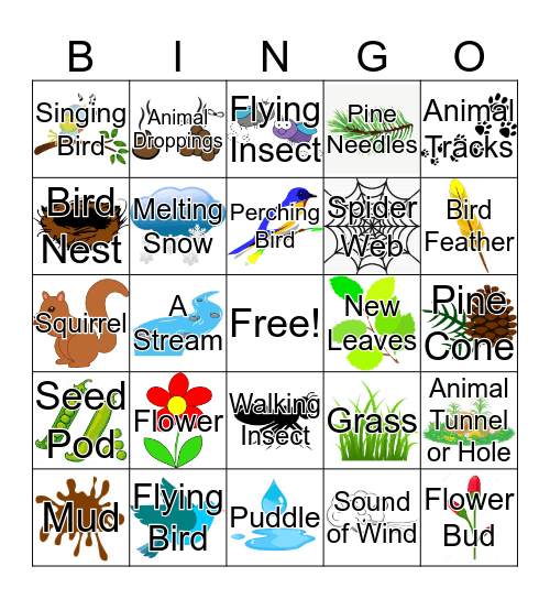 Signs of Spring Nature Bingo! Bingo Card