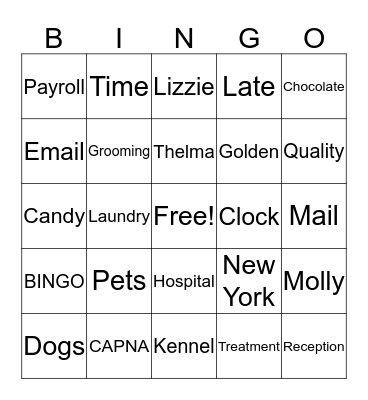 IVS-NP BINGO Card