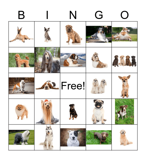 Chumkee's Bingo Card