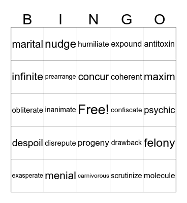 Vocabulary Review Bingo Card