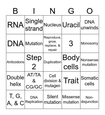 Unit 5 Bingo Card
