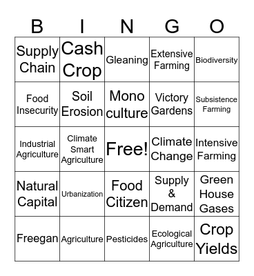 Geography Bingo Card  Bingo Card