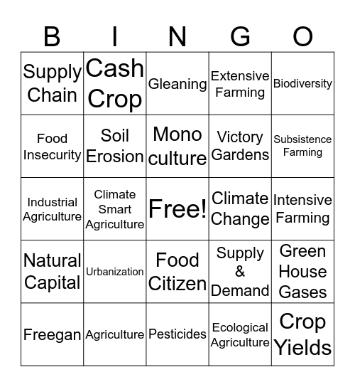 Geography Bingo Card  Bingo Card