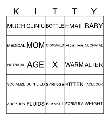 KITTEN Bingo Card