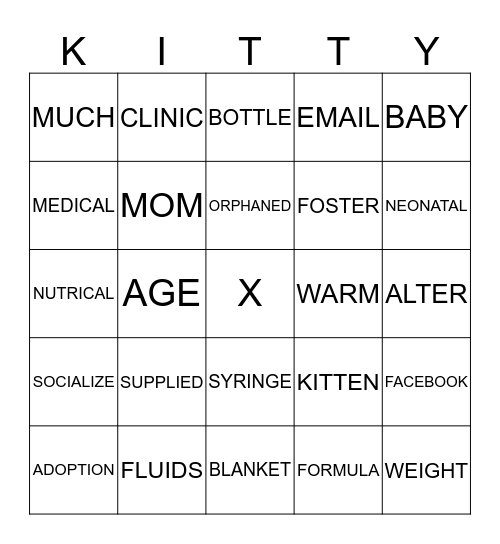 KITTEN Bingo Card