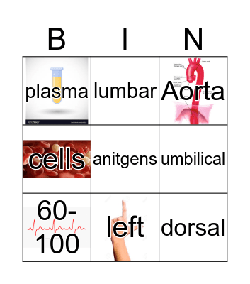 Loteria Bingo Card