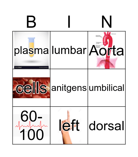 Loteria Bingo Card