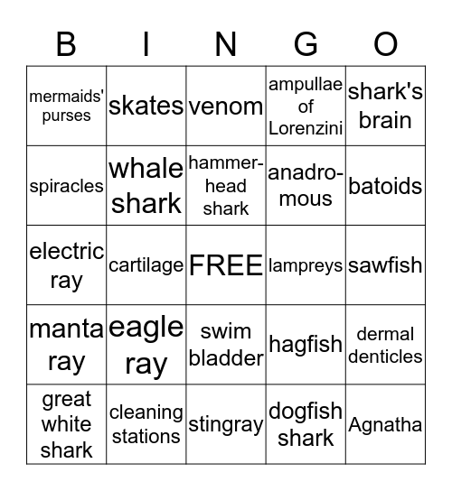Sharks and Rays Bingo Card
