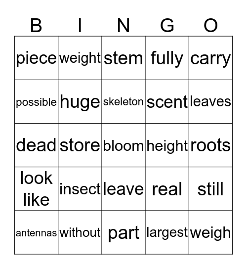 Unit 1-6 Bingo Card