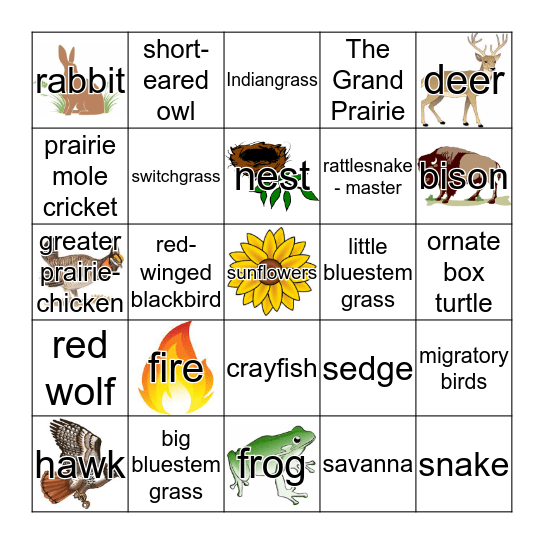 Tallgrass Prairie Bingo Card