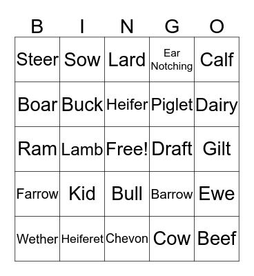 Animal Science Terminology Bingo Card