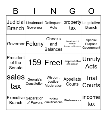 Georgia Governent Bingo Card