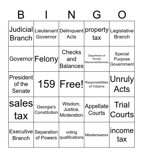 Georgia Governent Bingo Card