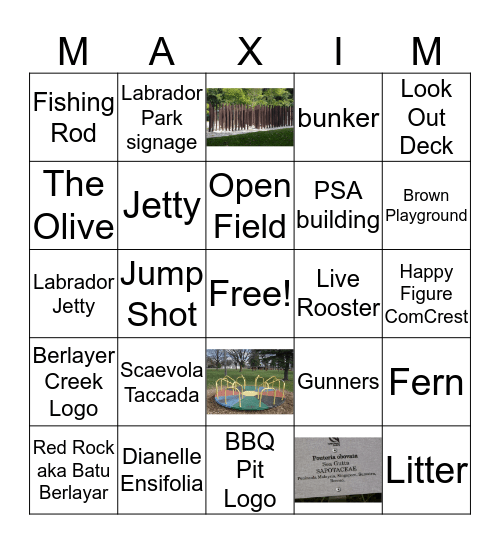 NATURE BINGO Card