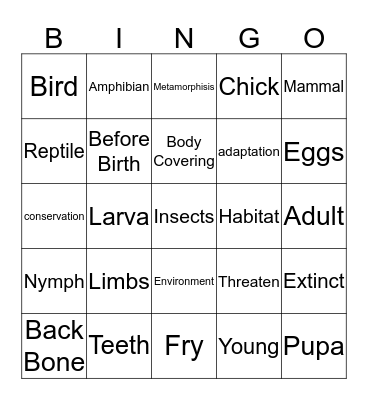 Life Cycles Bingo Card