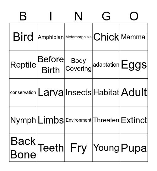 Life Cycles Bingo Card