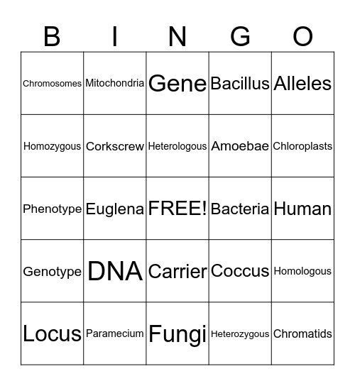 Cells, Heredity, Bacteria Bingo! Bingo Card