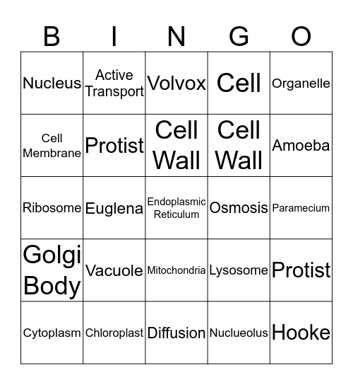 Cell Organelle Bingo Card