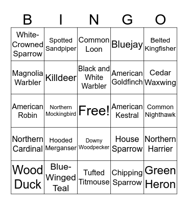 Ohio Birds Bingo Card