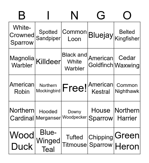 Ohio Birds Bingo Card
