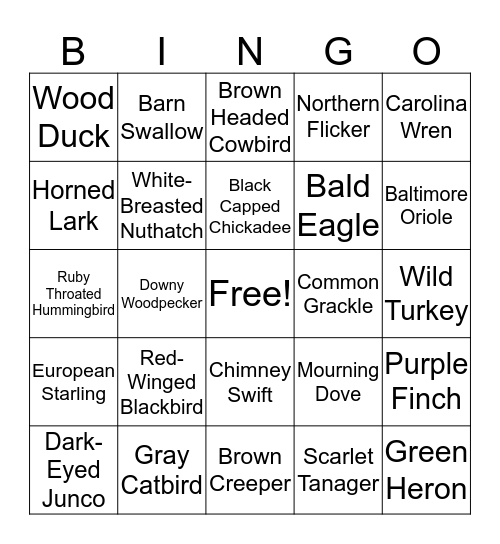 Ohio Birds Bingo Card