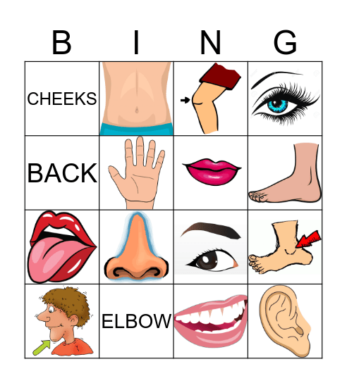 Body parts  Bingo Card