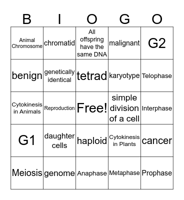 Mitosis/ Meiosis Bingo Card