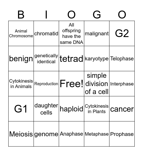 Mitosis/ Meiosis Bingo Card