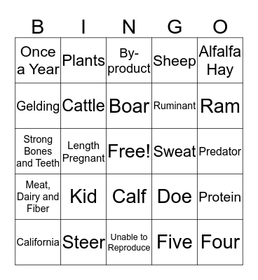 Livestock Review Bingo Card