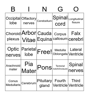 Brain Bingo Card