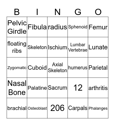 The Skeletal System Bingo Card