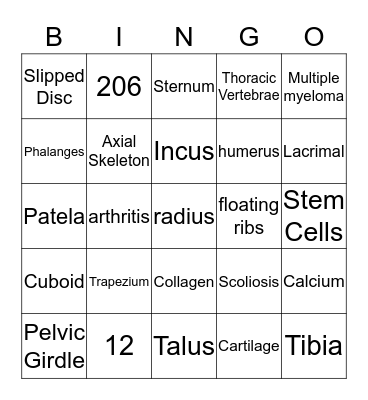 The Skeletal System Bingo Card